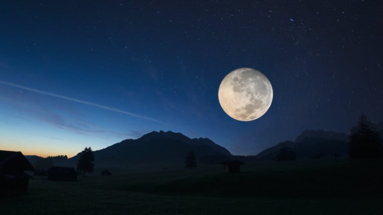 A Letter To The Moon